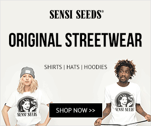 Advertise with Cannabid