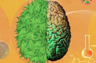 Cannabis and Anxiety Disorders