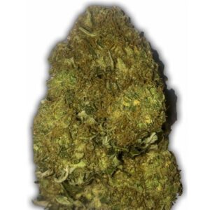 Skunky Monkey Auto Feminised Seeds – 10