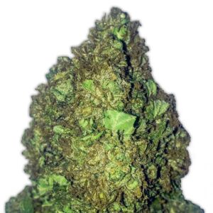 Short And Sweet Auto Feminised Seeds – 10