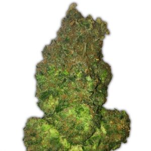 Fruit Punch Auto Feminised Seeds – 10