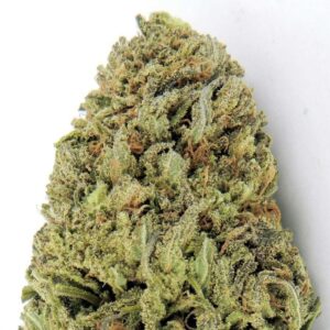 Fast and Vast Auto Feminised Seeds – 10