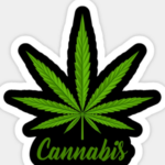 Group logo of Cannabis Cultivators