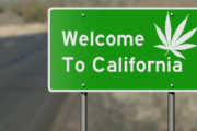 Exploring Cannabis Tourism in California