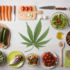 Top 7 Marijuana-Friendly Music Festivals in the US